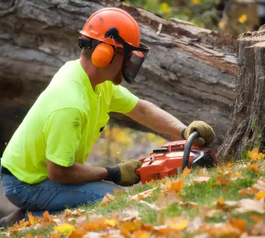 tree services Fruitland